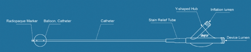 Balloon Guide Catheter