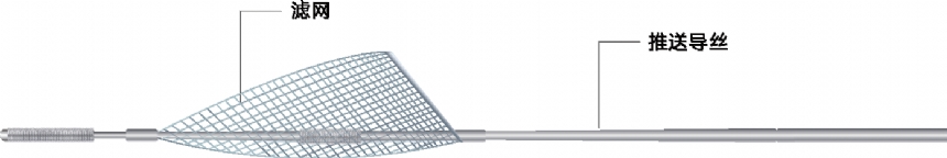 Embolic  Protection Device
